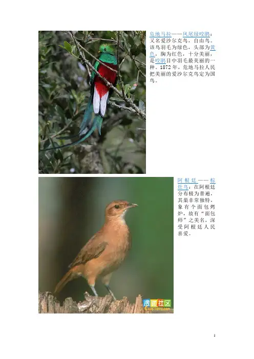 国鸟