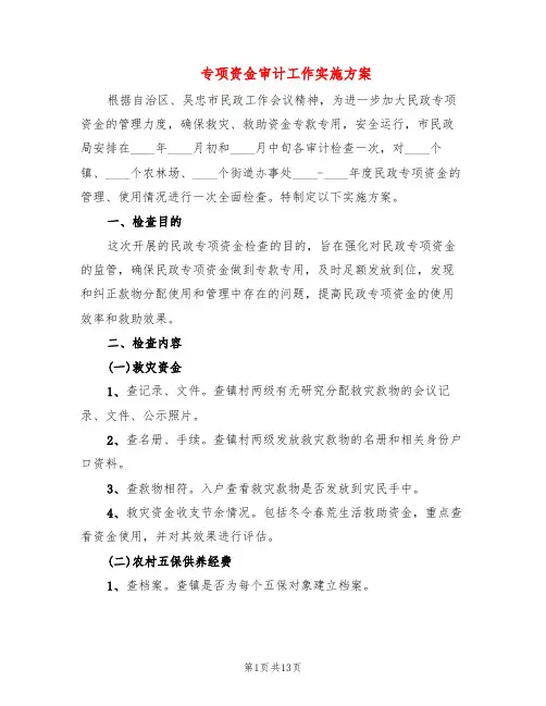 专项资金审计工作实施方案(4篇)