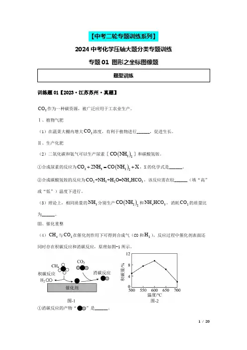 2024中考化学压轴专题训练-专题01图形类-坐标图像题(含解析)