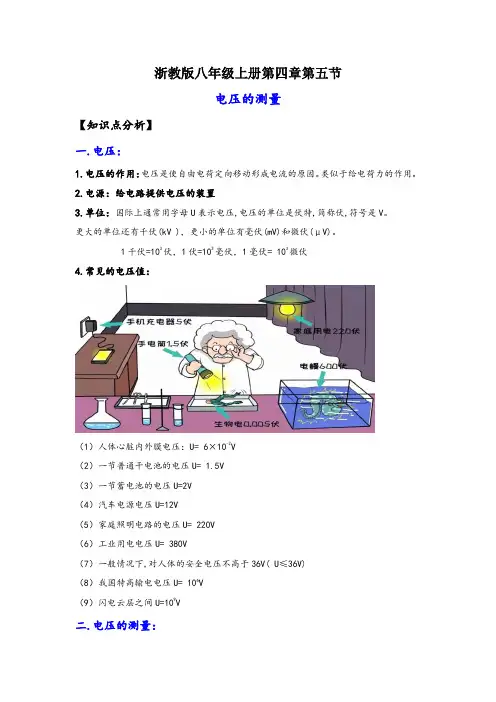 浙教版八年级上册科学讲练课堂4.5电压的测量(讲义)(原卷版+解析)