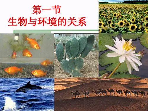 经典课件：新人教版七年级上册生物与环境的关系