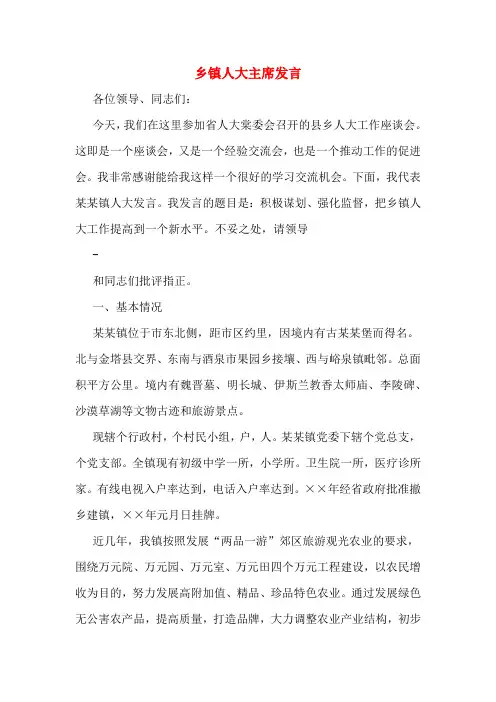 2020年乡镇人大主席发言