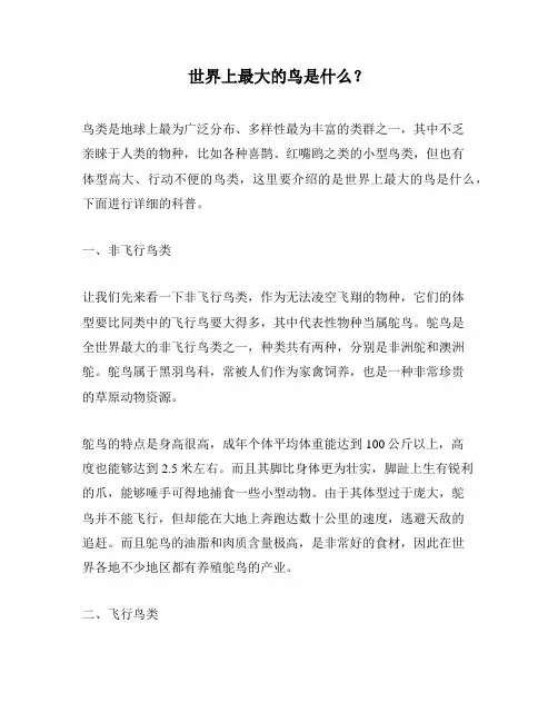 世界上最大的鸟是什么？