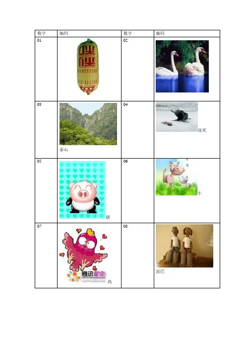100数字编码图