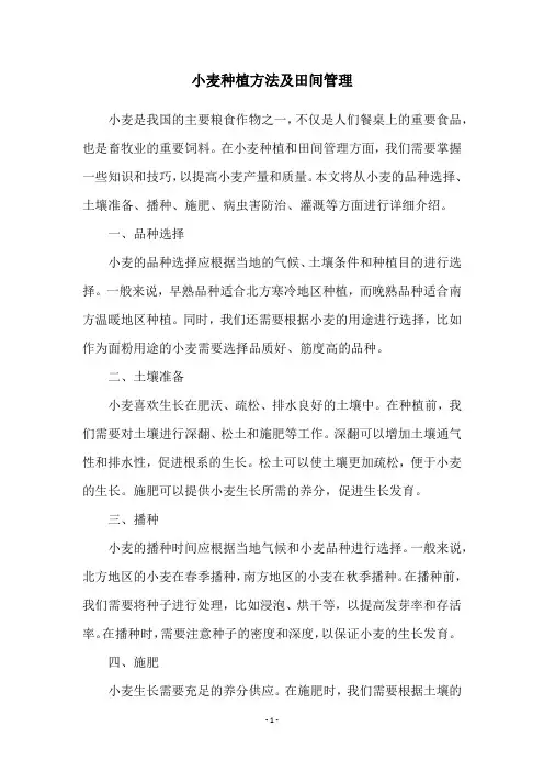 小麦种植方法及田间管理
