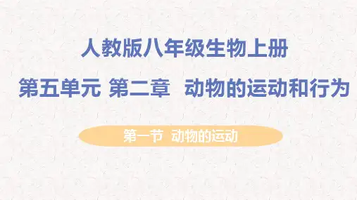 人教版八年级生物上册第五单元第二章动物的运动和行为PPT
