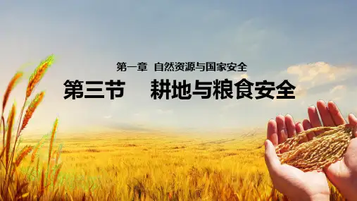 高中地理鲁教版(2019)选择性必修3 1.3耕地与粮食安全(共24张ppt)