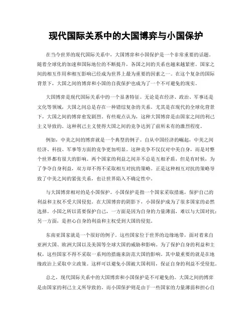 现代国际关系中的大国博弈与小国保护