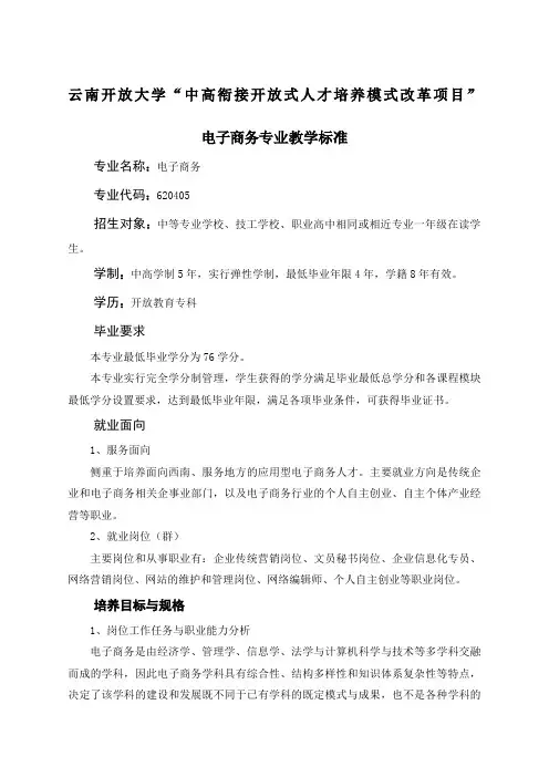 电子商务专业教学标准