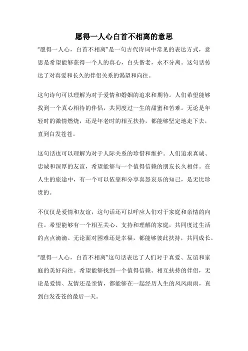 愿得一人心白首不相离的意思