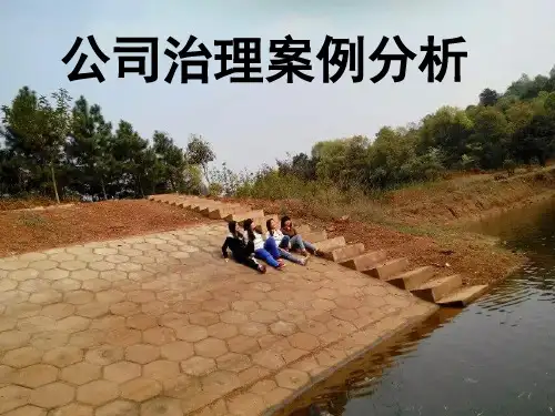 公司治理案例分析