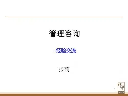管理咨询入门-11106149
