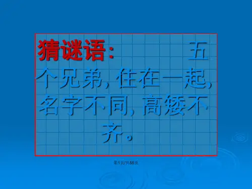 山谷中的谜底PPt