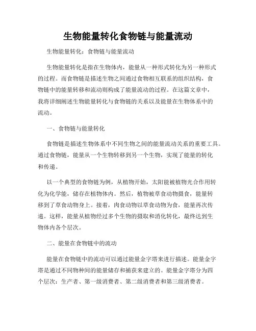 生物能量转化食物链与能量流动