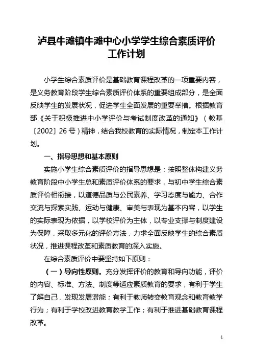 学生综合素质评价工作计划