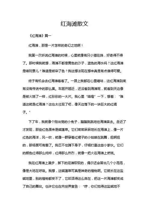 红海滩散文