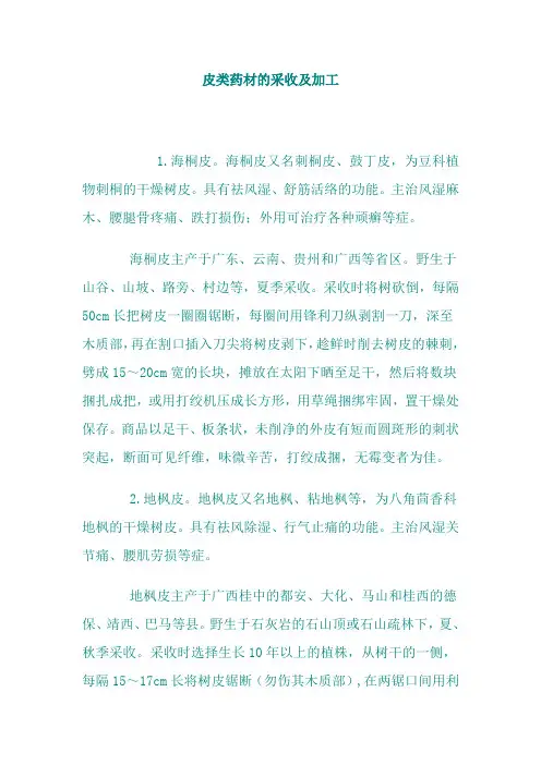 皮类药材的采收及加工
