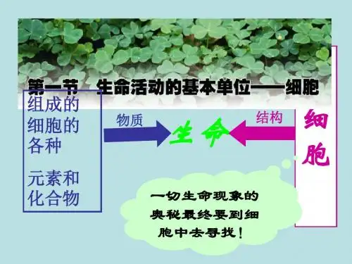 生命活动的基本单位——细胞ppt6 优秀课件