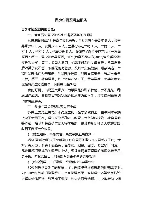 青少年情况调查报告