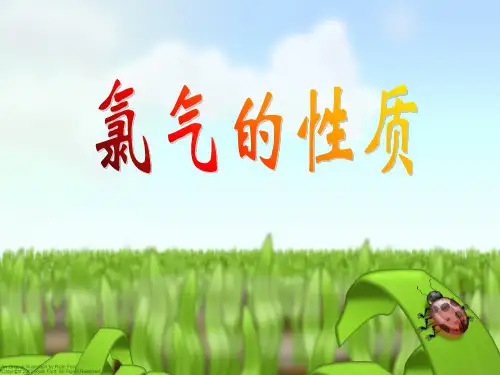 沪科课标版化学高一上册2.2海水中的氯11pptppt