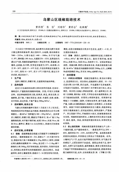 乌蒙山区线椒栽培技术