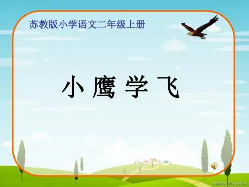 苏教版二年级语文上册《文  8 小鹰学飞》公开课课件_7