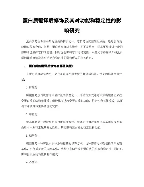 蛋白质翻译后修饰及其对功能和稳定性的影响研究