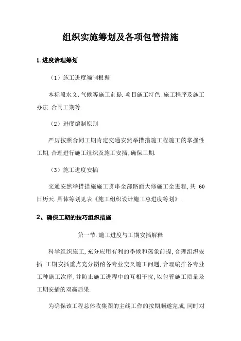 组织实施方案及各项保障措施