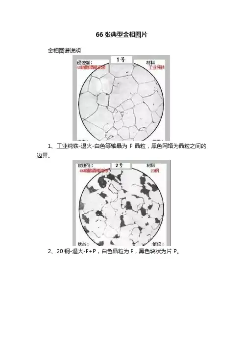 66张典型金相图片