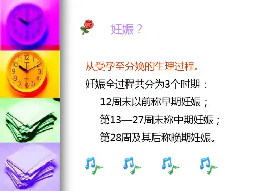 妊娠合并病毒性肝炎-PPT课件