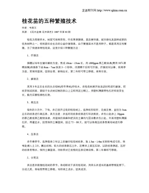 桂花苗的五种繁殖技术