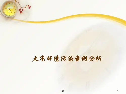 大气污染案例分析