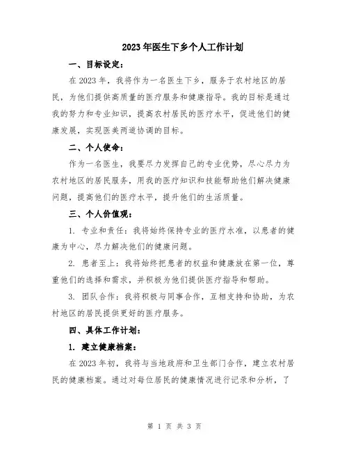 2023年医生下乡个人工作计划