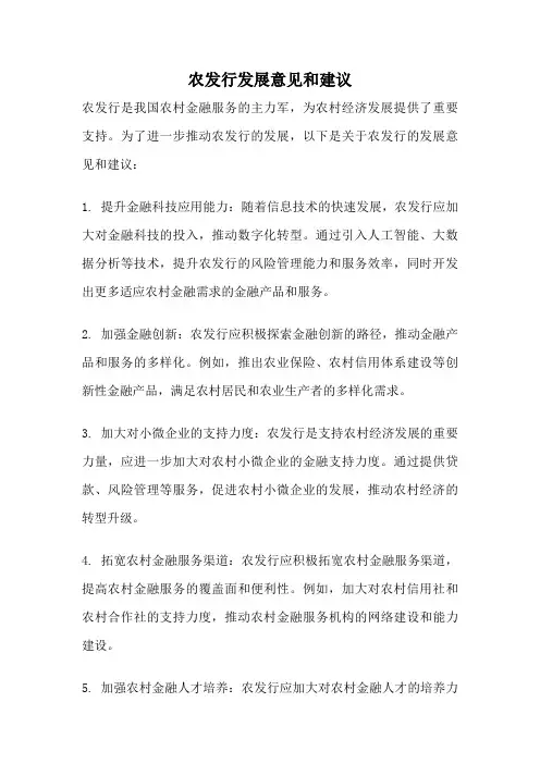 农发行发展意见和建议