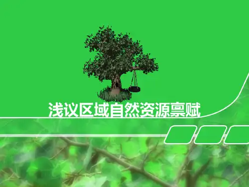 区域自然资源禀赋.
