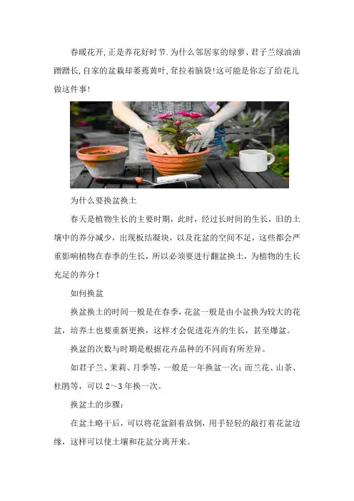 春日养花忘做这件事,难怪你家花儿不爆盆