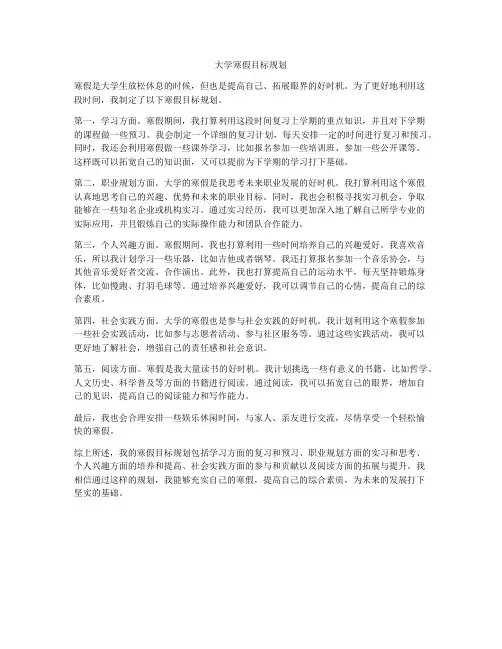 大学寒假目标规划