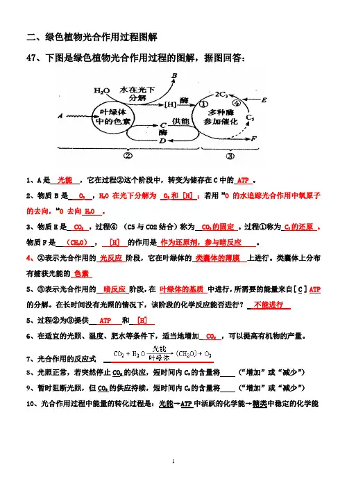 2020云南省学业水平考试-光合作用过程的图解