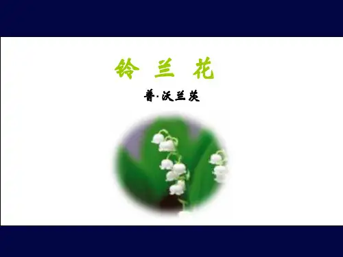 《铃兰花》PPT课件
