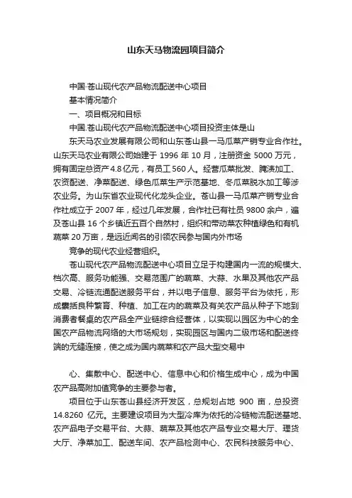 山东天马物流园项目简介