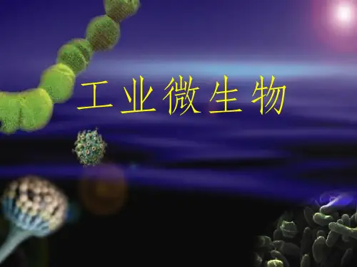 《微生物生长规律》PPT课件