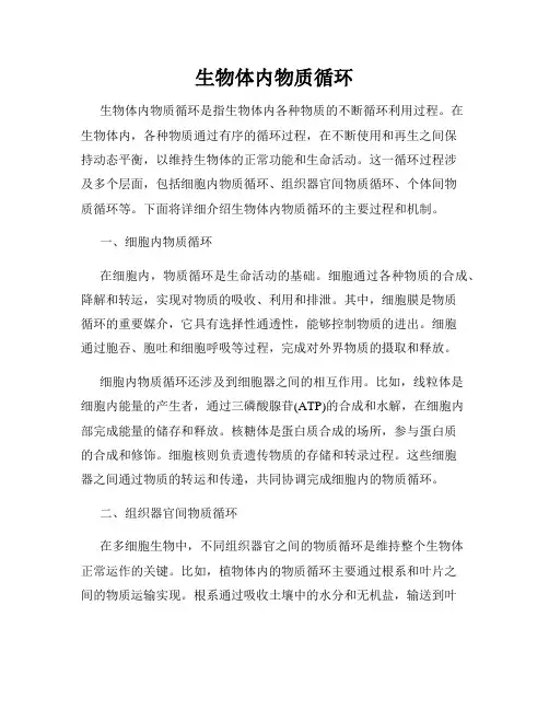 生物体内物质循环