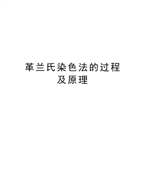 革兰氏染色法的过程及原理知识分享