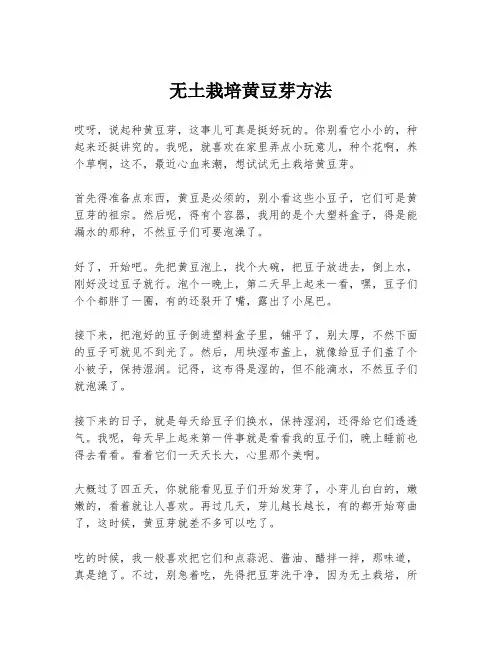 无土栽培黄豆芽方法