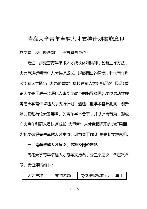 青岛大学青年卓越人才支持计划实施意见