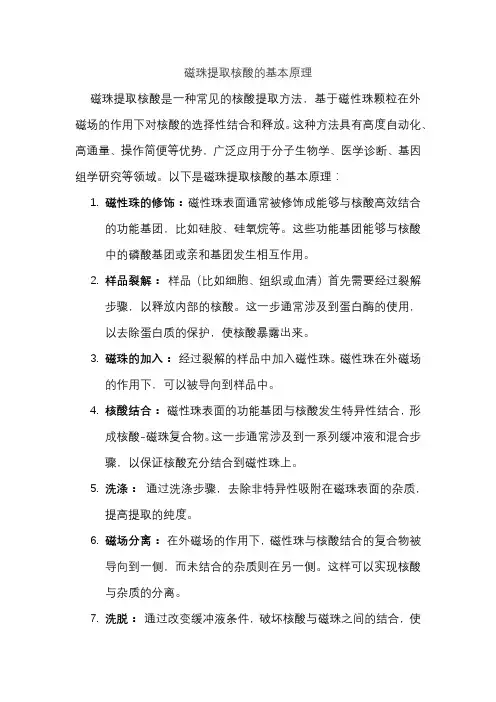 磁珠提取核酸的基本原理