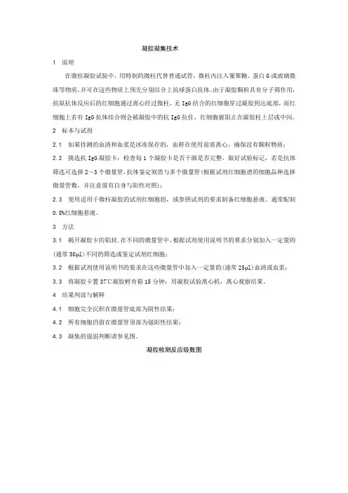 凝胶凝集技术筛选和鉴定抗体