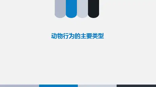 苏教版生物八年级上册_《动物行为的主要类型》精品课件
