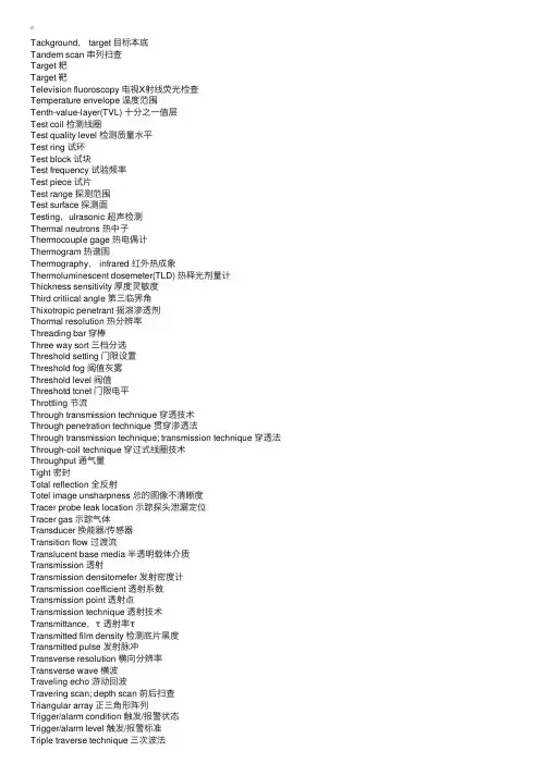 中英文无损检测名词T
