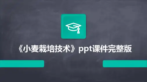 《小麦栽培技术》ppt课件完整版
